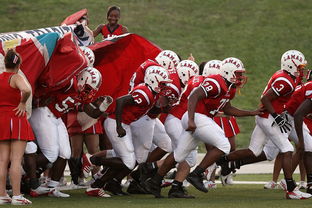 多支豪强晋级四强，强劲竞争引人瞩目，豪强指什么  第3张